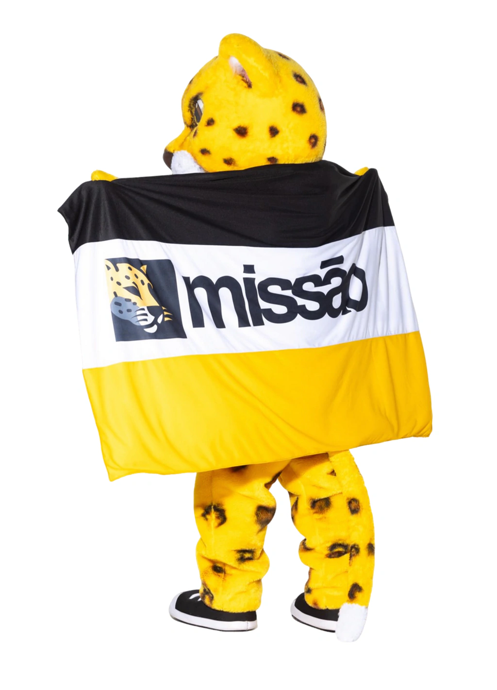 Bandeira Missão Clássica
